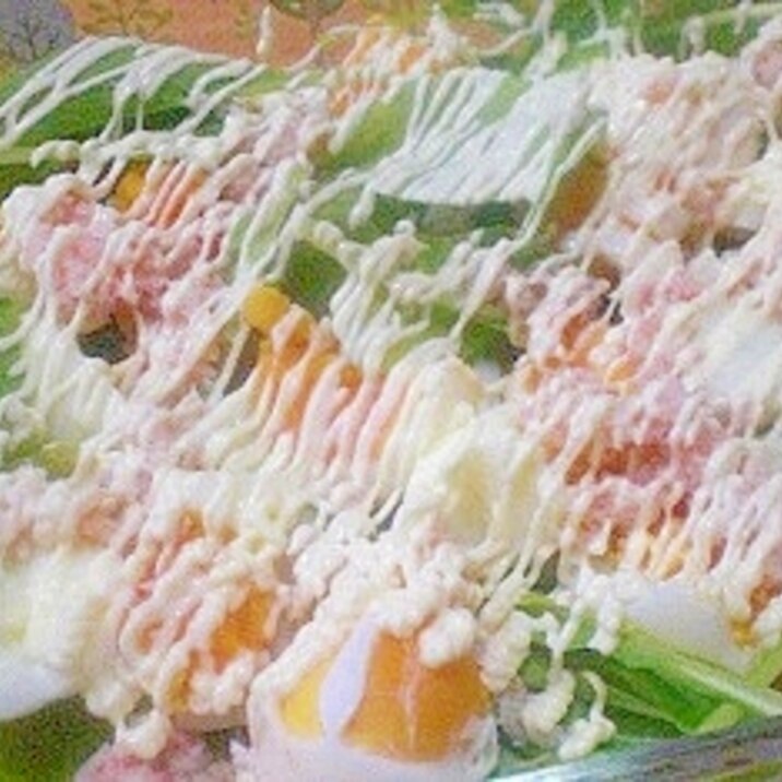 生でも食べれる！　「小松菜のサラダ」　　　♪♪
